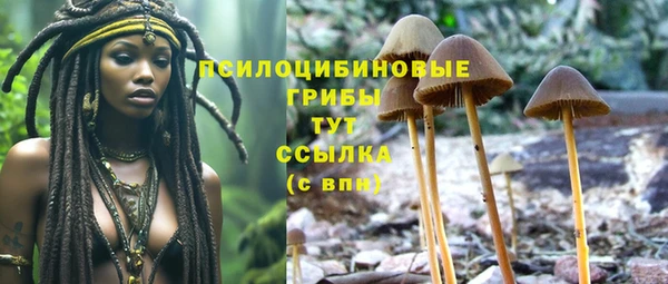 тгк Карталы