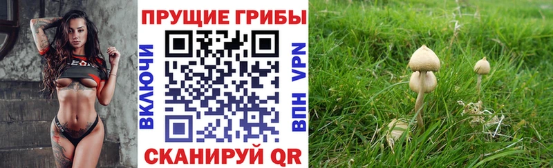 Псилоцибиновые грибы Psilocybine cubensis  OMG рабочий сайт  маркетплейс формула  Пойковский 